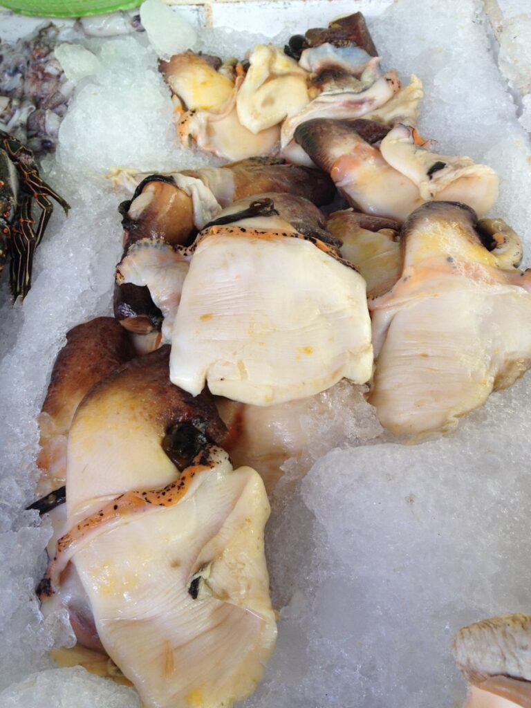 ​De la mar al plato: coquinas, chocos y mojama en Huelva​