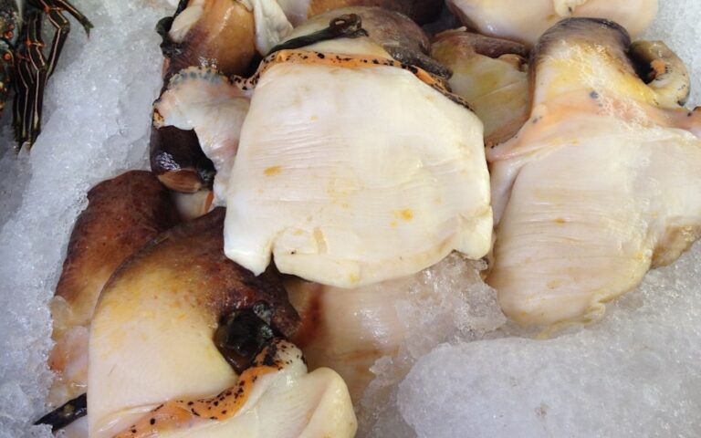 Photo From the sea to the plate: wedge clams, cuttlefish, and mojama in Huelva