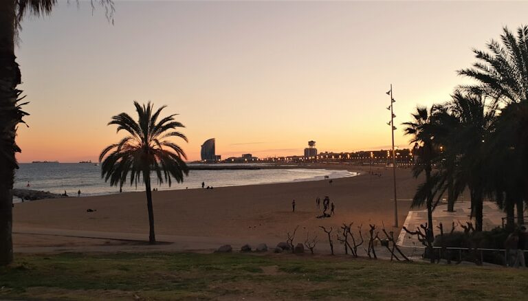 Photo "Playa de la Torre del Loro: history and nature on the Huelva coast"