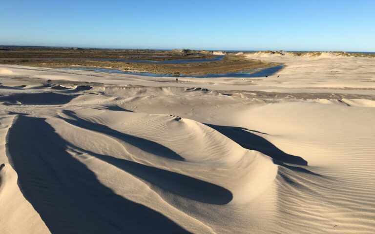 Photo Doñana National Park: a natural paradise in Huelva