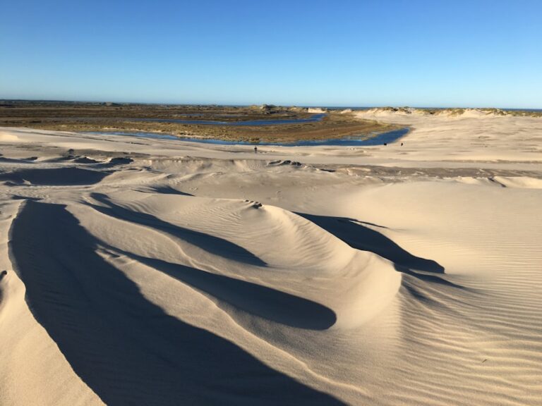 Parque Nacional de Doñana: un paraíso natural en Huelva​